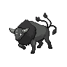 tauros-paldea-combat-breed