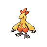 combusken