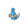 mudkip