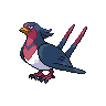 swellow