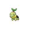 turtwig