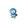 piplup