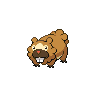 bidoof