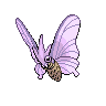 venomoth