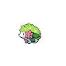 shaymin-land