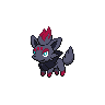 zorua