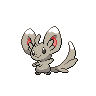 minccino