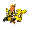 tapu-koko