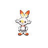 scorbunny