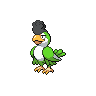 squawkabilly-green-plumage